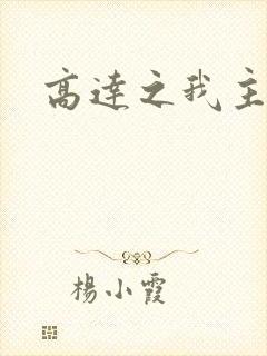 高达之我主沉浮