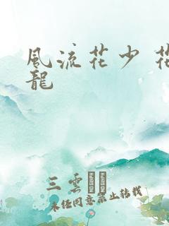 风流花少 花睿龙