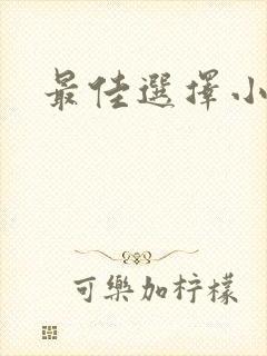 最佳选择小说
