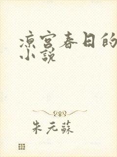 凉宫春日的忧郁小说