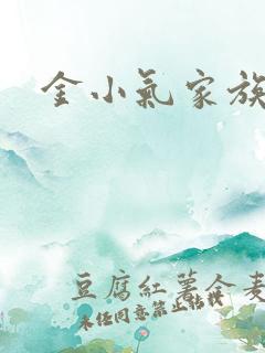 金小气家族小说