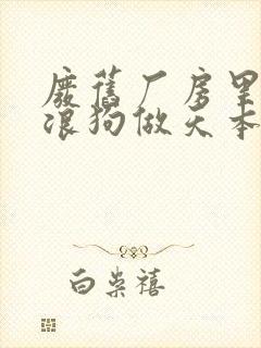 废旧厂房里和流浪狗做天本