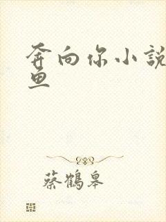 奔向你小说甜醋鱼