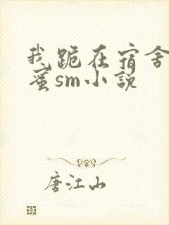 我跪在宿舍被闺蜜sm小说