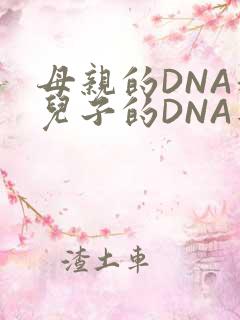 母亲的DNA和儿子的DNA是一样的吗