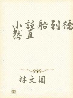 小说船到桥头自然直