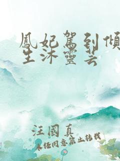 凤妃驾到倾倒众生沐灵芸