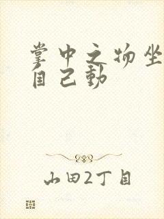 掌中之物坐上来自己动