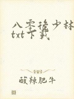 八零后少林方丈txt下载