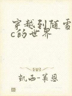 穿越到随处可以c的世界