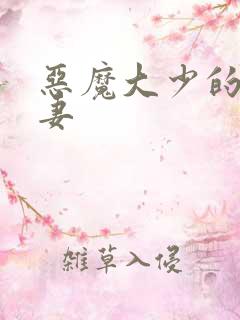 恶魔大少的小鲜妻