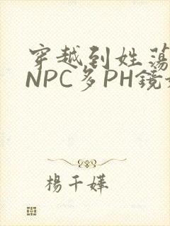 穿越到姓荡游戏NPC多PH镜姬