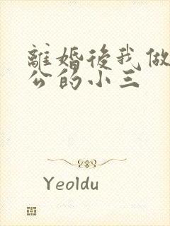 离婚后我做了老公的小三