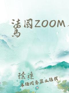 法国ZOOM人马