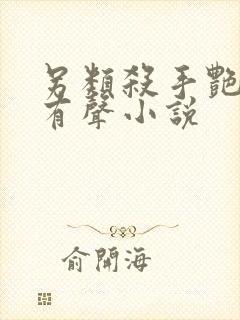 另类杀手艳福星有声小说