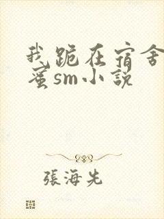 我跪在宿舍被闺蜜sm小说