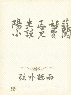 阳光正好苏玥玥小说免费阅读