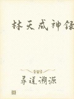 林天成神录
