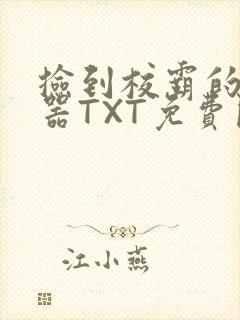 捡到校霸的遥控器TXT免费阅读