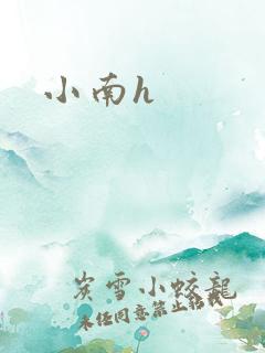 小南h