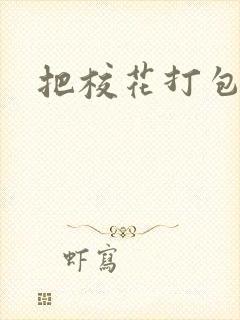 把校花打包带走