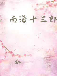 南海十三郎小说