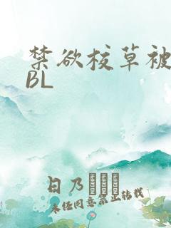 禁欲校草被C哭BL