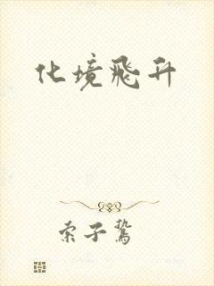 化境飞升