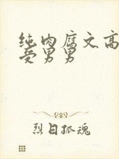 纯肉腐文高H总受男男