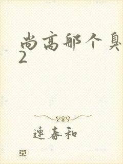 尚高那个臭小子2