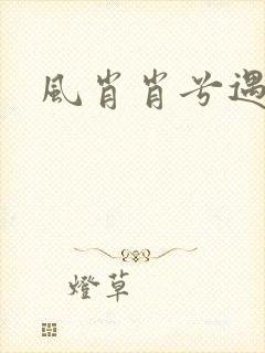 风肖肖兮遇子期