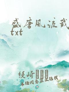 盛唐风流武状元txt