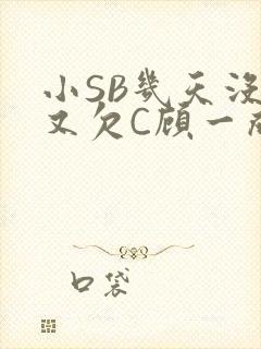 小SB几天没做又欠C顾一成视频