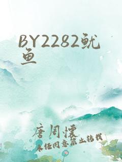 BY2282鱿鱼