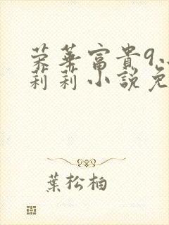 荣华富贵9小王莉莉小说免费阅读