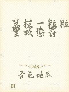 荔枝一粒粒的往里放惩罚