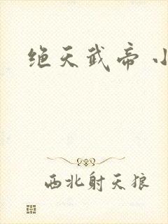 绝天武帝 小说