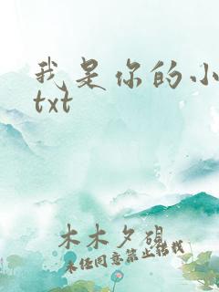 我是你的小小狗txt