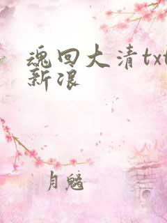 魂回大清txt新浪
