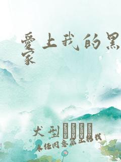 爱上我的黑道冤家