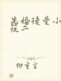 先婚后爱小说梦筱二