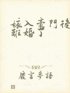 嫁入豪门后我又离婚了