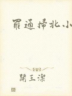 罗通扫北小说