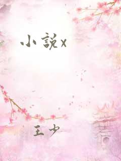 小说x