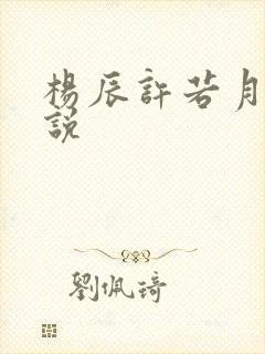 杨辰许若月的小说