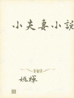 小夫妻小说