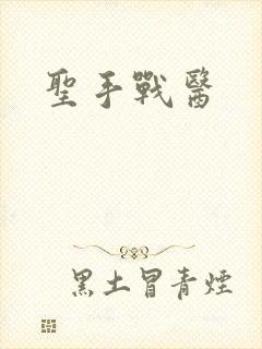圣手战医