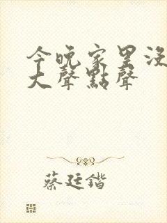 今晚家里没人叫大声点声