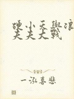 硬小天与浪小辉夫夫大战