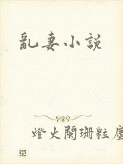 乱妻小说